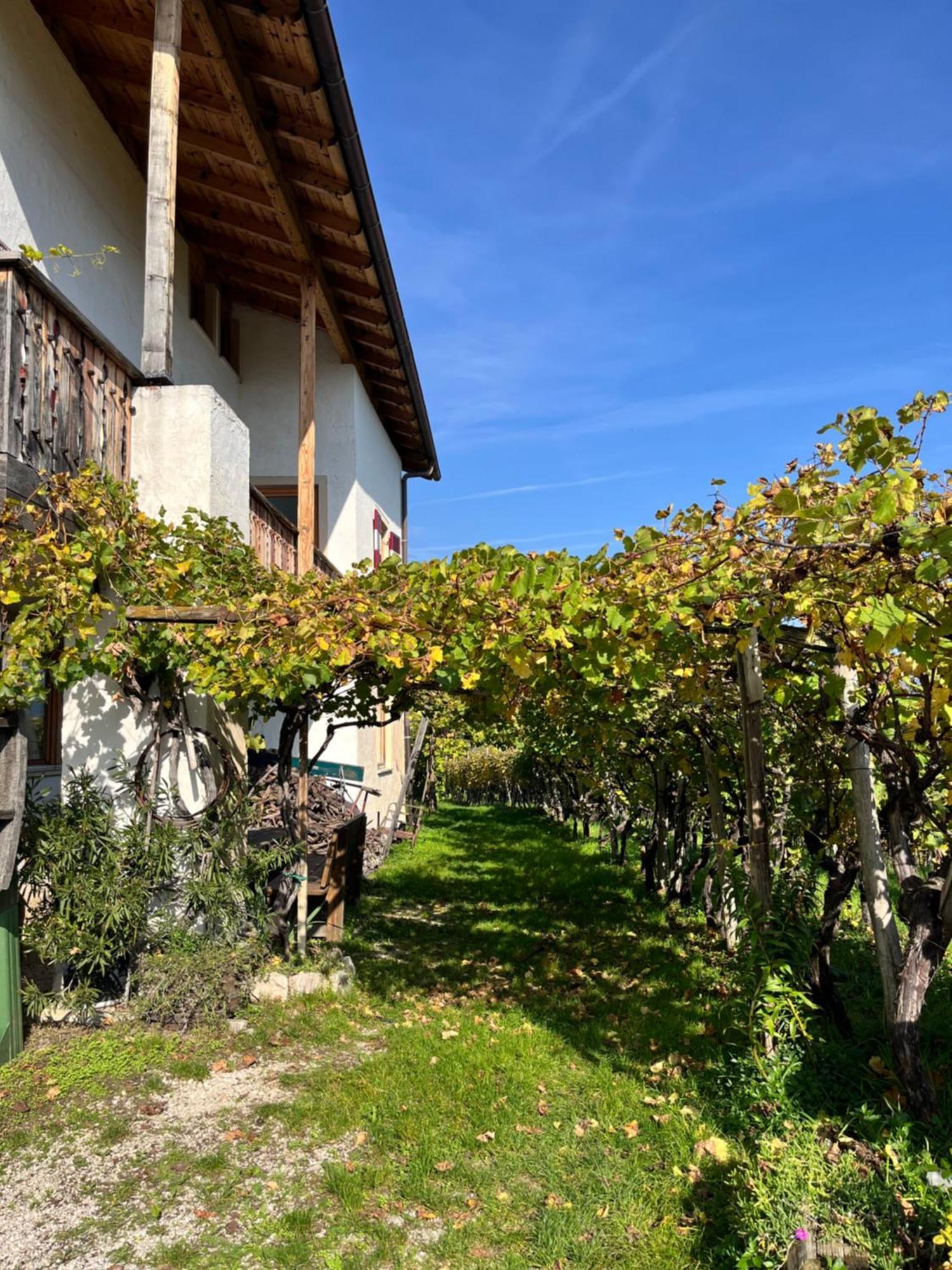Apartamento Voldersberghof Cortaccia Exterior foto